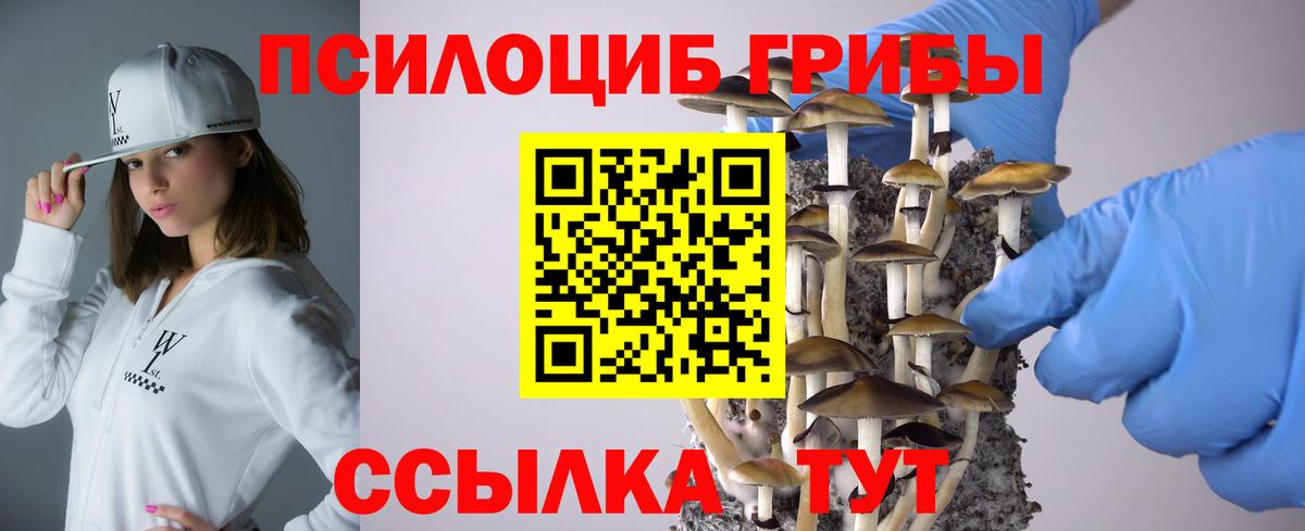 Губаха  Псилоцибиновые грибы Psilocybe  Вход с VPN 